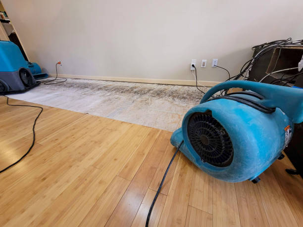 Professional Structural Drying technician working in Grand Coulee, WA